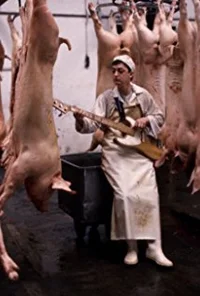 Кеннет МакКласки