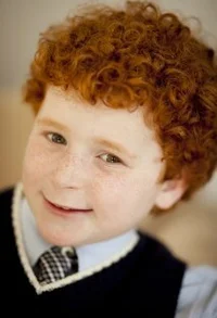 Макс Харрис