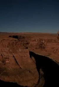 Мэтт Холуик