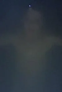 Волди Вэй