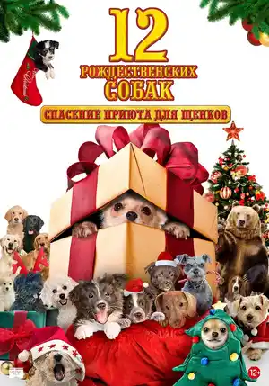 12 рождественских собак: Спасение приюта для щенков