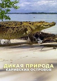 Дикая природа Карибских островов
