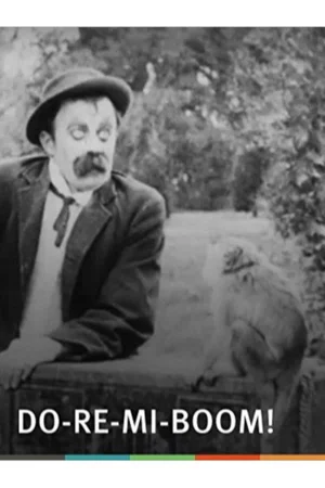 До-ре-ми-бум!