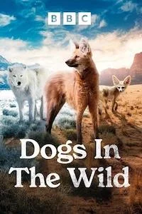 Собаки в дикой природе