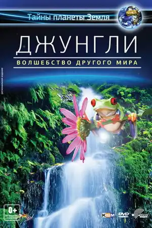 Джунгли 3D: Магия другого мира