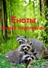 Еноты – новые европейцы