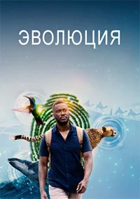 Эволюция
