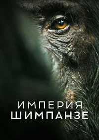 Империя шимпанзе