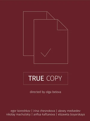 Копия верна