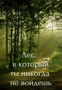 Лес, в который ты никогда не войдешь