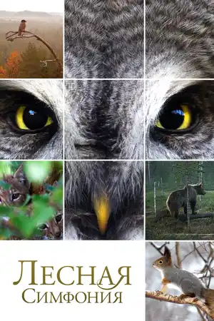 Лесная симфония