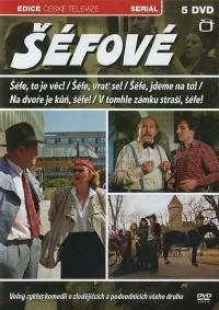 Лошадь во дворе, шеф!