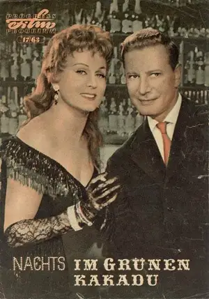 Ночью в  «Зеленом Какаду»