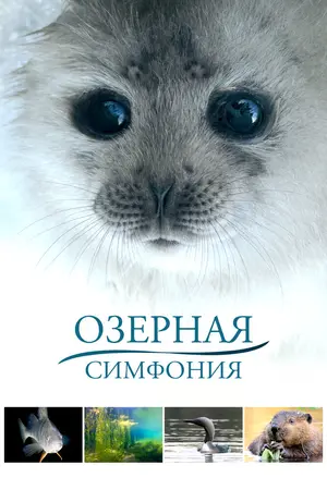Озерная симфония