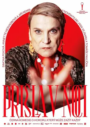 Пришла ночью