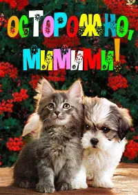 Симпатичные котята и щенки