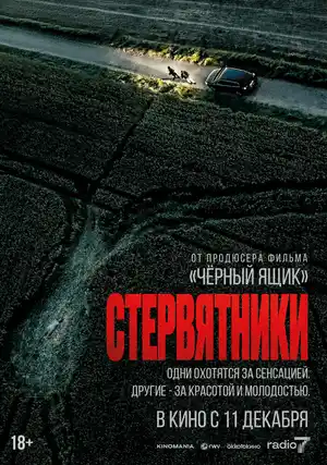 Стервятники