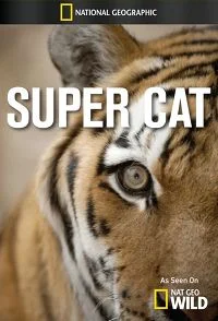 Суперкошка