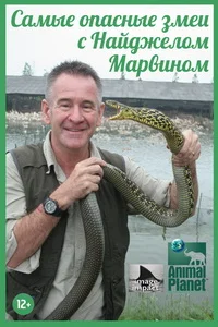 Ten Deadliest Snakes with Nigel Marven