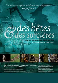 Des bêtes et des sorcières
