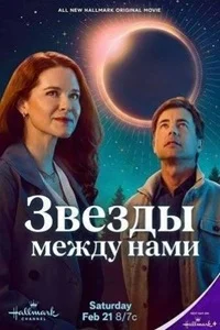 Звёзды между нами